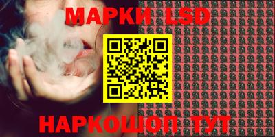 сатива Краснодар