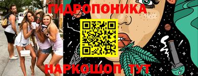 сатива Краснодар