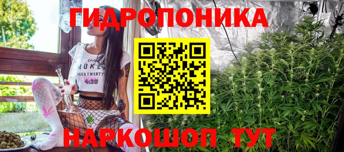 Канабис индика  Конопля план  Вход с VPN  Шишки марихуана White Widow  МАРИХУАНА гибрид  Красный Сулин 